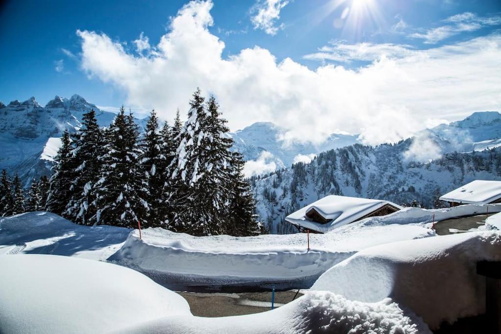 Big Luxury With Amazing View Chalet *