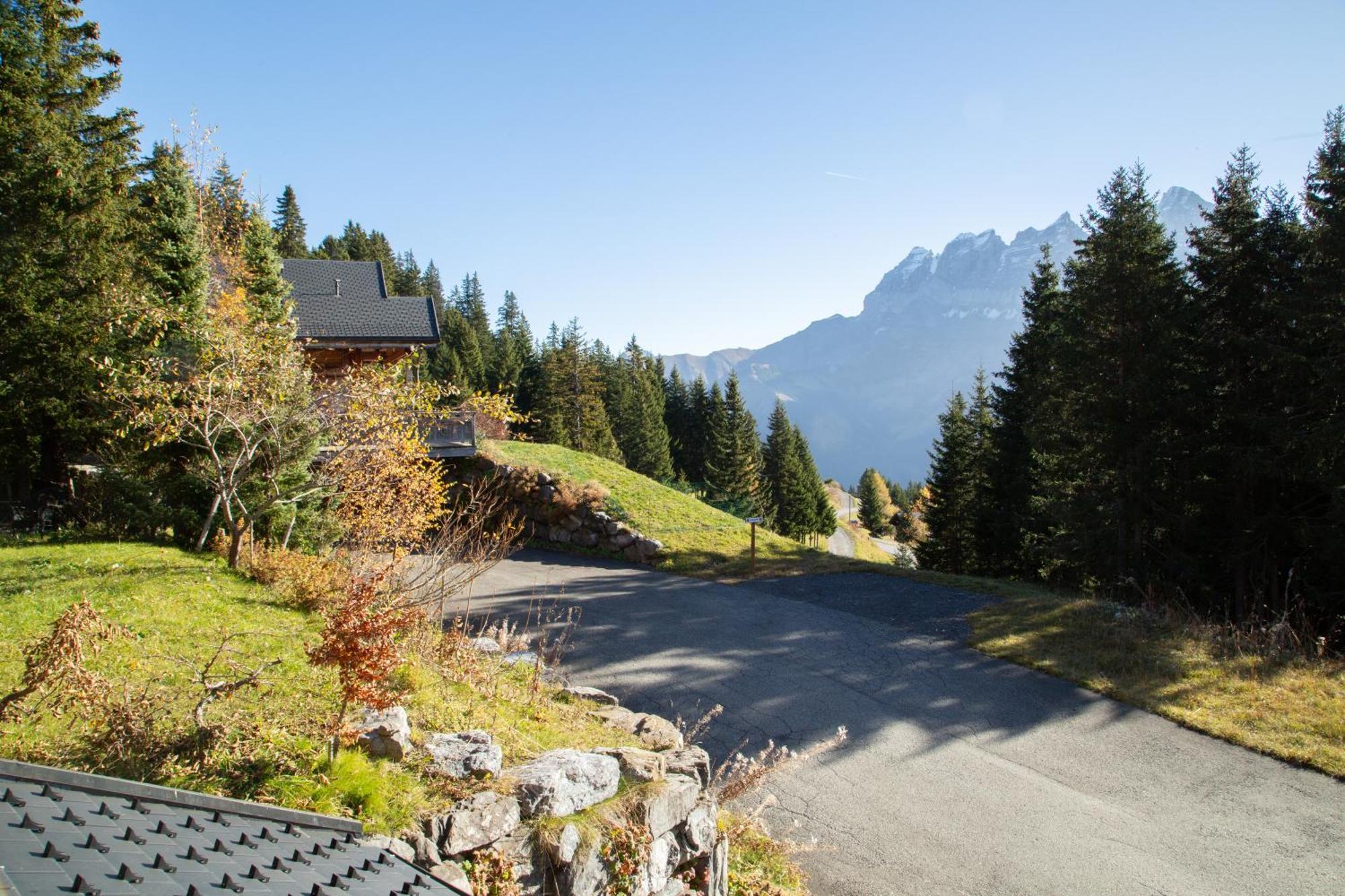 Chalet Big Luxury With Amazing View
