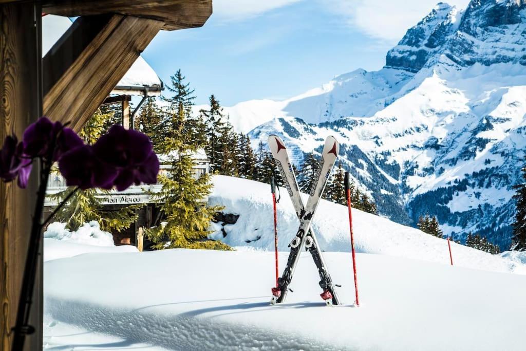 Big Luxury With Amazing View Chalet *